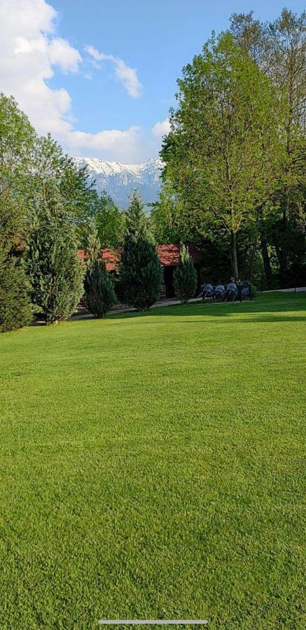 Garden Retreat Junior (adults Only) 4*